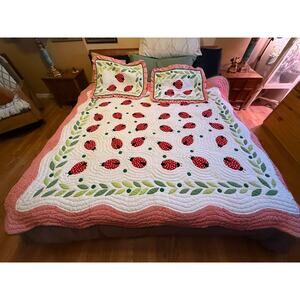 Vintage Britannica Home Ladybug Applique Quilt Set Red Gingham Full 3pc